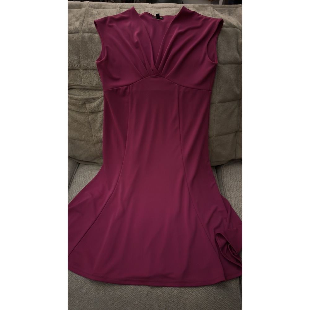 Talbots Fit & Flare Dress Womens S-P Fushcia Pink Sleeveless Knee Length Stretch